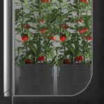 Reusable 5 Gallon Aeration Grow Bags Nonwoven Fabric Pots with Multi-Purpose Rings for All Garden Plants - Image 7