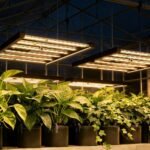 120W LED Grow Light | 2.4μmol/J Full Spectrum | App Control & Dimmable 4-Bar Lamp for 2x2ft Indoor Plants Full Cycle Growth - Image 4